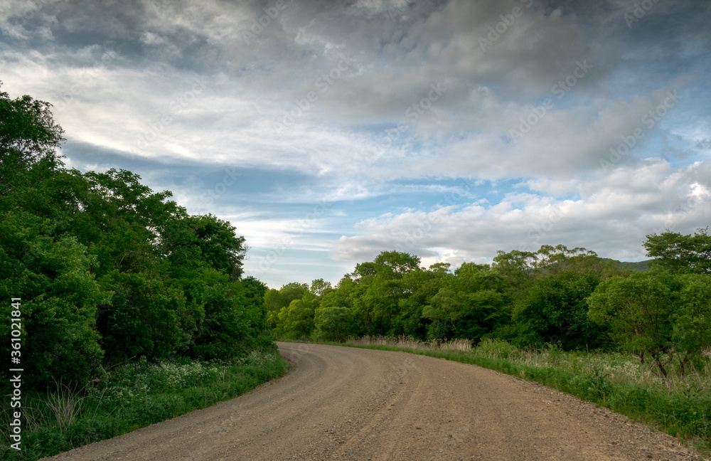 road in the countryside among the forest and against the sky with clouds road in the countryside among the forest and against the sky with clouds