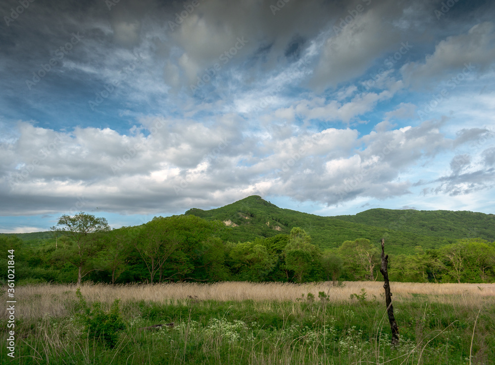 Fototapeta premium clouds over the mountains in taiga