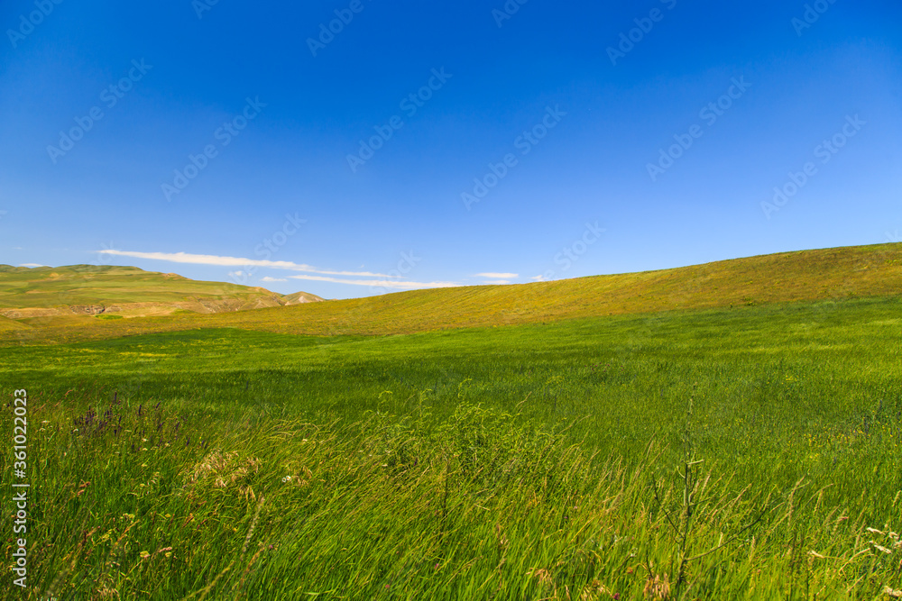 Beautiful spring and summer landscape. Lush green hills. Spring blooming herbs. Beautiful spring and summer landscape. Lush green hills. Spring blooming herbs.