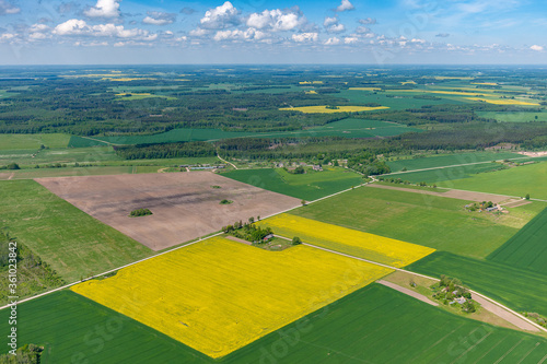 aerial view over the rural fields in spring