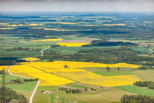 Fototapeta Naklejka Na Ścianę i Meble -  aerial view over the rural fields in spring