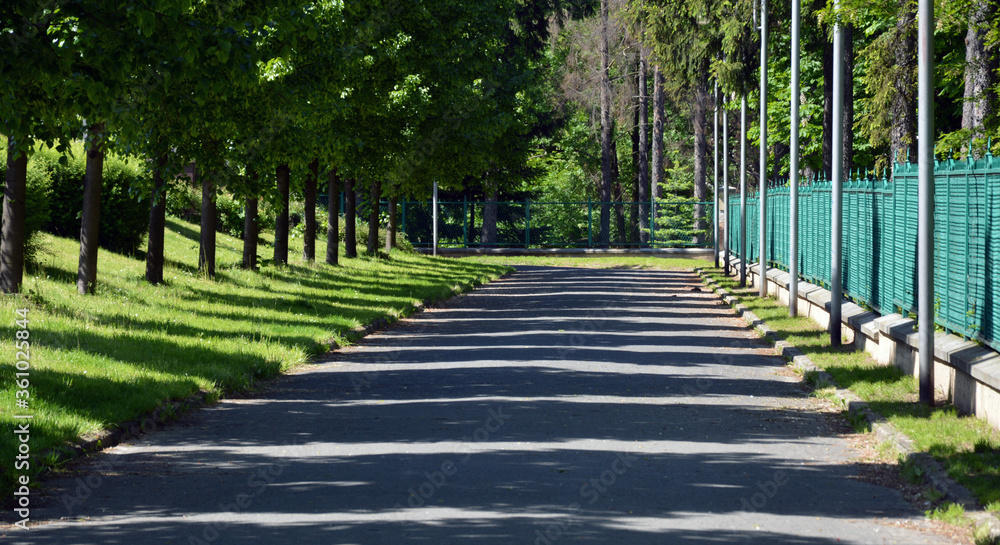 Fototapeta premium Asphalt avenue in the Park with rhythm of trees shadows on road.