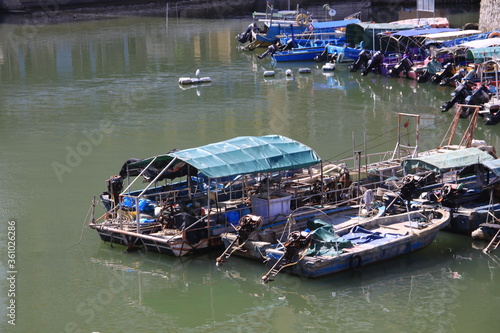 boats in the harbor