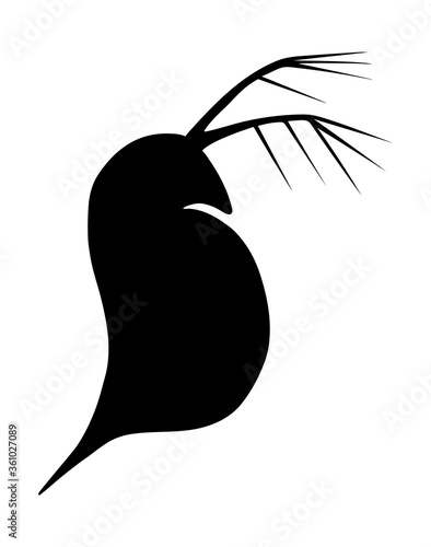 Daphnia or water flea. Black and white hand drawn vector silhouette illustration.