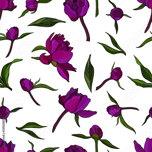 Peonies flowers in hand drawn style. Stock illustration. Seamless pattern on  white background. Endless texture for your design.