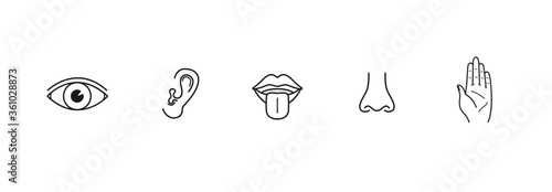 five human sense icon set