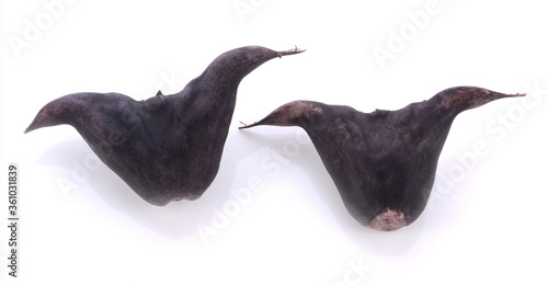 Close-up chestnut buffalo or water chestnut on white background. I photo