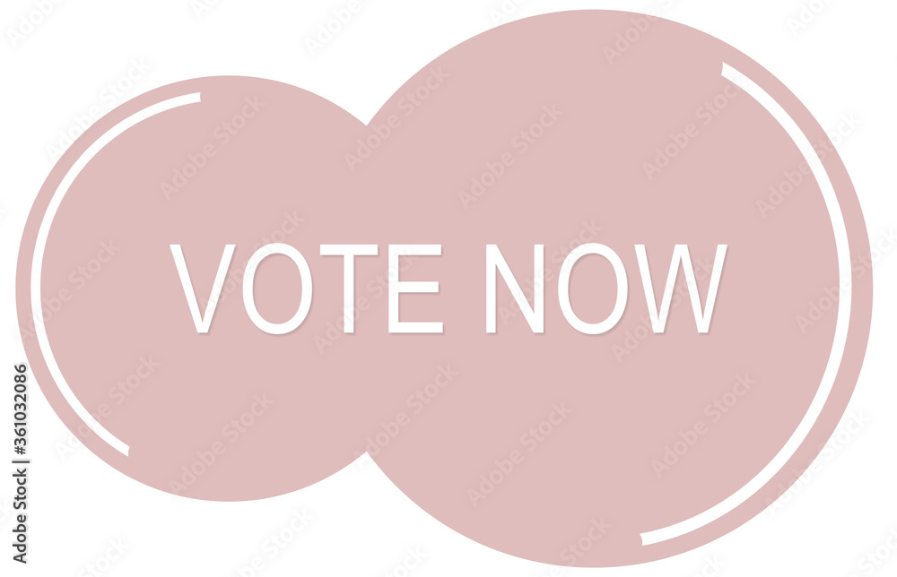 Vote Now Web Button