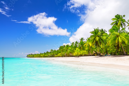Coconut Palm trees on white sandy beach in Caribbean sea, Saona island. © preto_perola