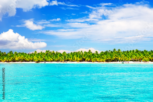 Coconut Palm trees on white sandy beach