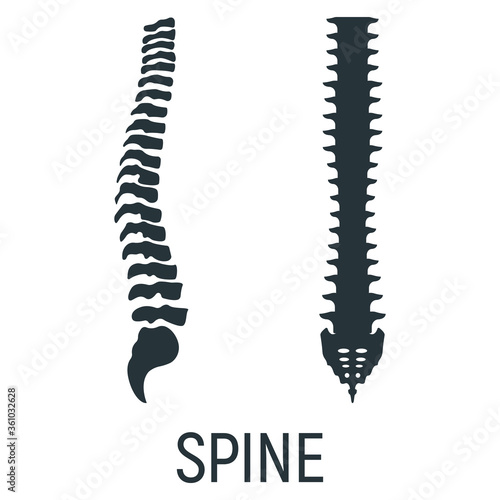 Spine backbone bone, x-ray concept icon, roentgen human body image isolated on white, flat vector illustration. Skeleton part of man organism.