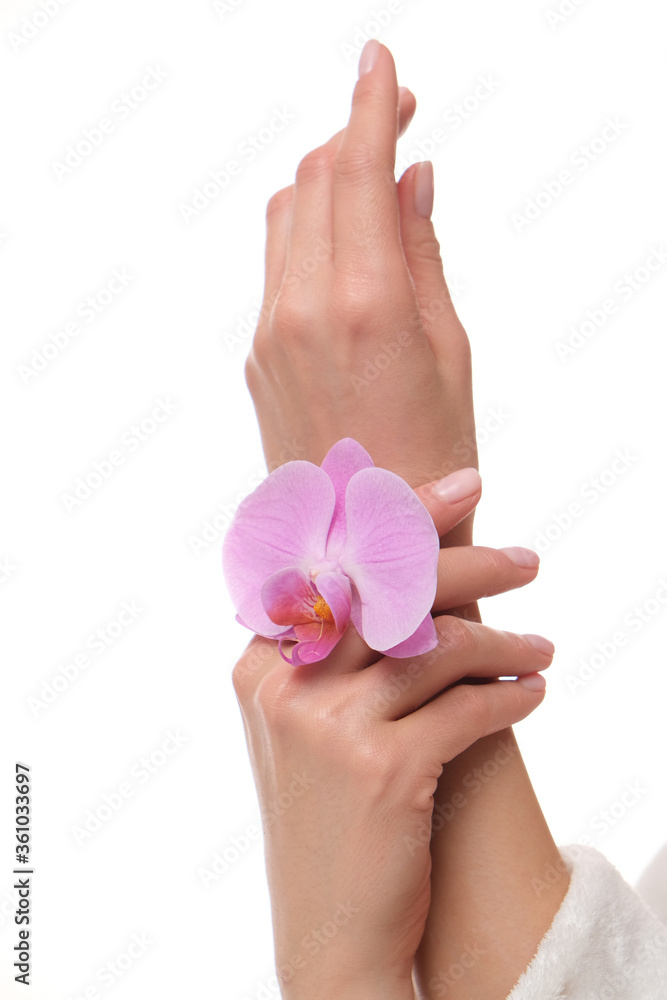 Studio shoot of female delicate hands with perfectly done manicure.