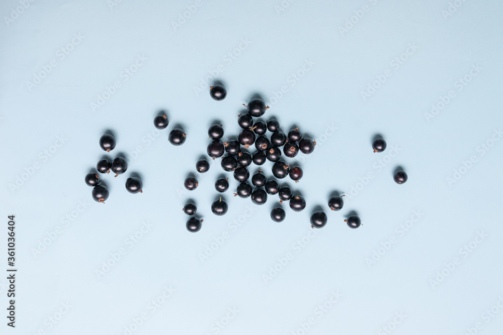 Sweet organic black currant berries isolated on blue background. Top view. Flat lay Sweet organic black currant berries isolated on blue background. Top view. Flat lay