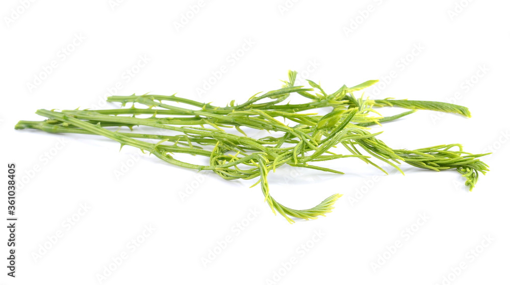 Vegetables Cha-om tied with leaf sheaf of banana treeThai local vegetable, Senegalia pennata or Acacia pennata or Cha-om (Thai Language) on wooden background Vegetables Cha-om tied with leaf sheaf of banana treeThai local vegetable, Senegalia pennata or Acacia pennata or Cha-om (Thai Language) on wooden background