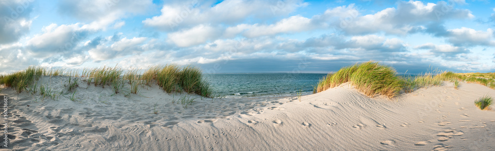 Dune beach at the North Sea coast, Sylt, Schleswig-Holstein, Germany - obrazy, fototapety, plakaty 