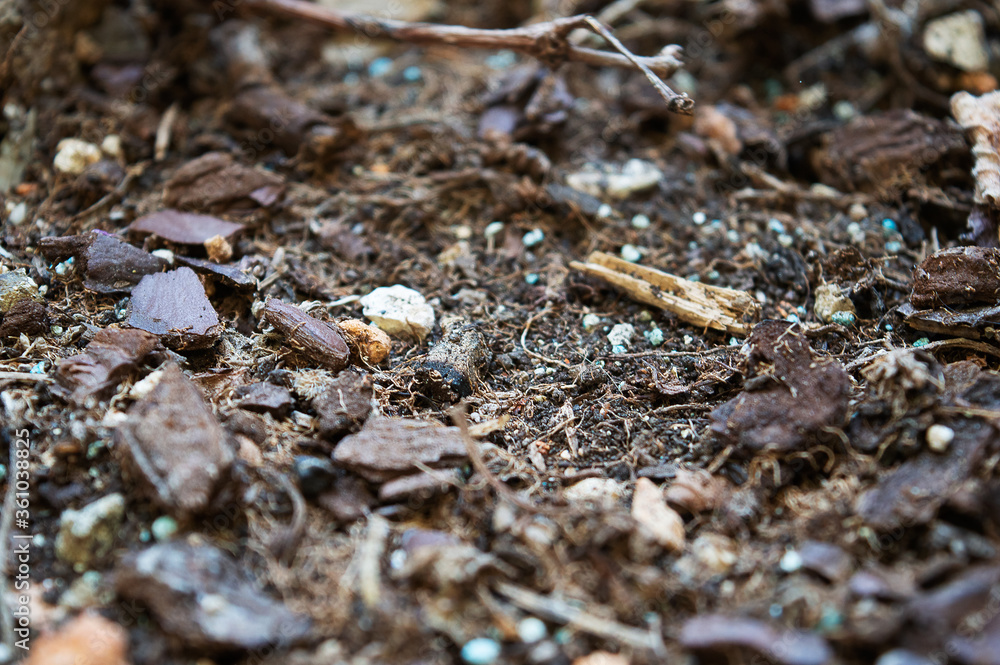 The beauty of nature closeup soil The beauty of nature closeup soil