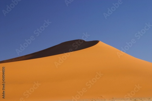 a beautiful apricot colored dune in Namibia  Africa