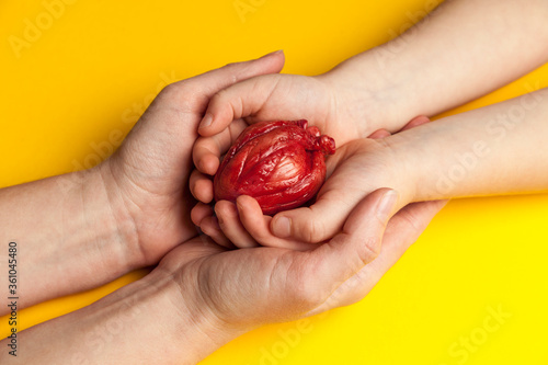 Fototapeta Naklejka Na Ścianę i Meble -  Human heart in mom and children hands isolated on yellow background. Health care and cardiac disease concept.