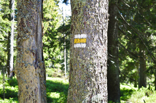 Colorful trail signs showing the path in national park Czech republic