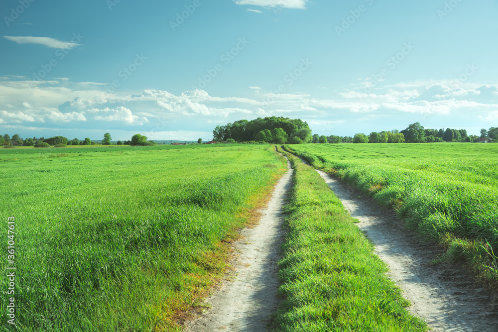 Dirt road through green fields Dirt road through green fields