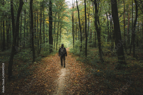A man walking through a dark forest  Okszow  Poland