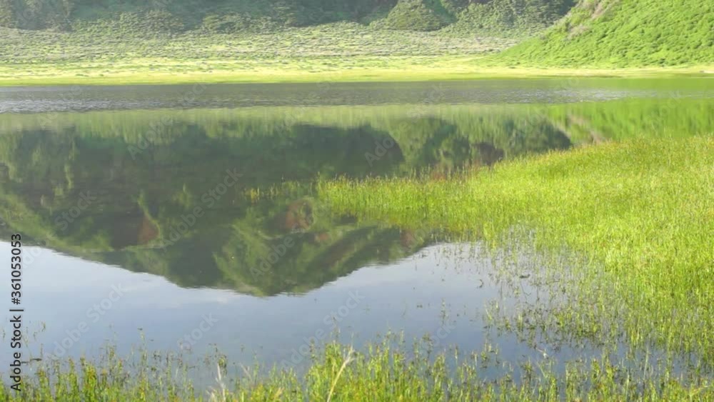 新緑の阿蘇草千里ヶ浜 新緑の阿蘇草千里ヶ浜