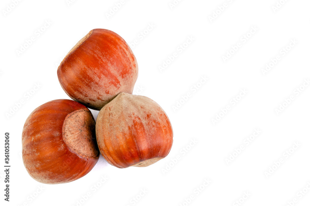 three hazelnuts on a white background three hazelnuts on a white background