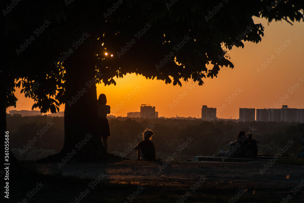 Fototapeta premium sunset in the city