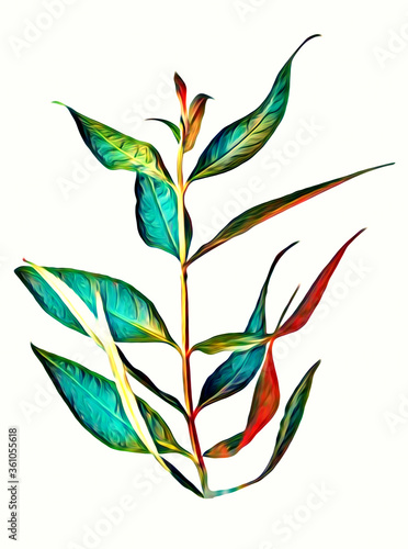 Butterfly leaves colored art.