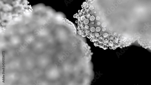 Virus, bacteria under microscope on a black background, 3D Render.