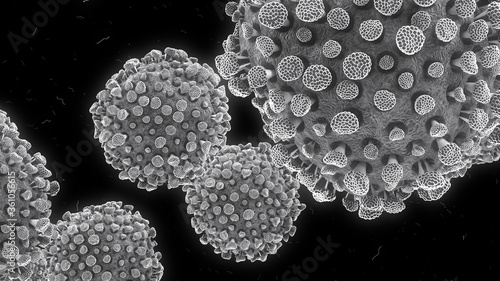 Virus, bacteria under microscope on a black background, 3D Render.