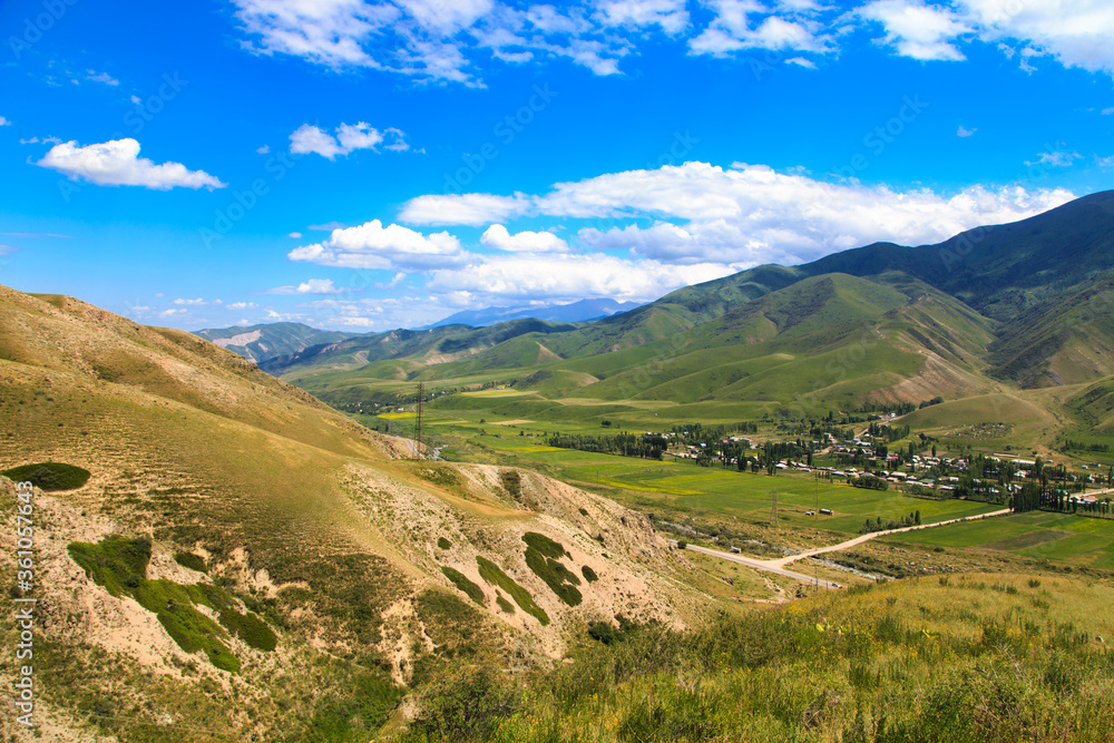 Beautiful spring and summer landscape. Lush green hills. Spring blooming herbs. Beautiful spring and summer landscape. Lush green hills. Spring blooming herbs.