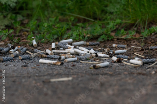 There are a lot of cigarette butts on the ground, copy space