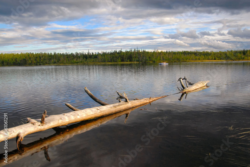 Picturesque landscape with log on the lake. Keret river, Republic of Karelia, Russia. photo