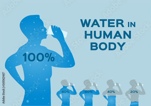 water level level,in the human body vector / infographic on white