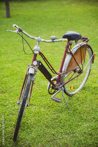 Vintage bicycle in the garden