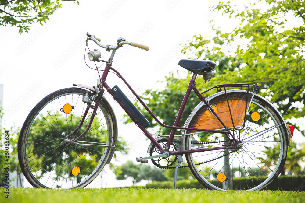 Vintage bicycle on a summer background