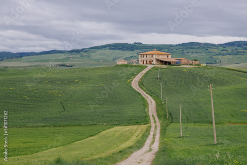 rural landscape with road in Tuscany