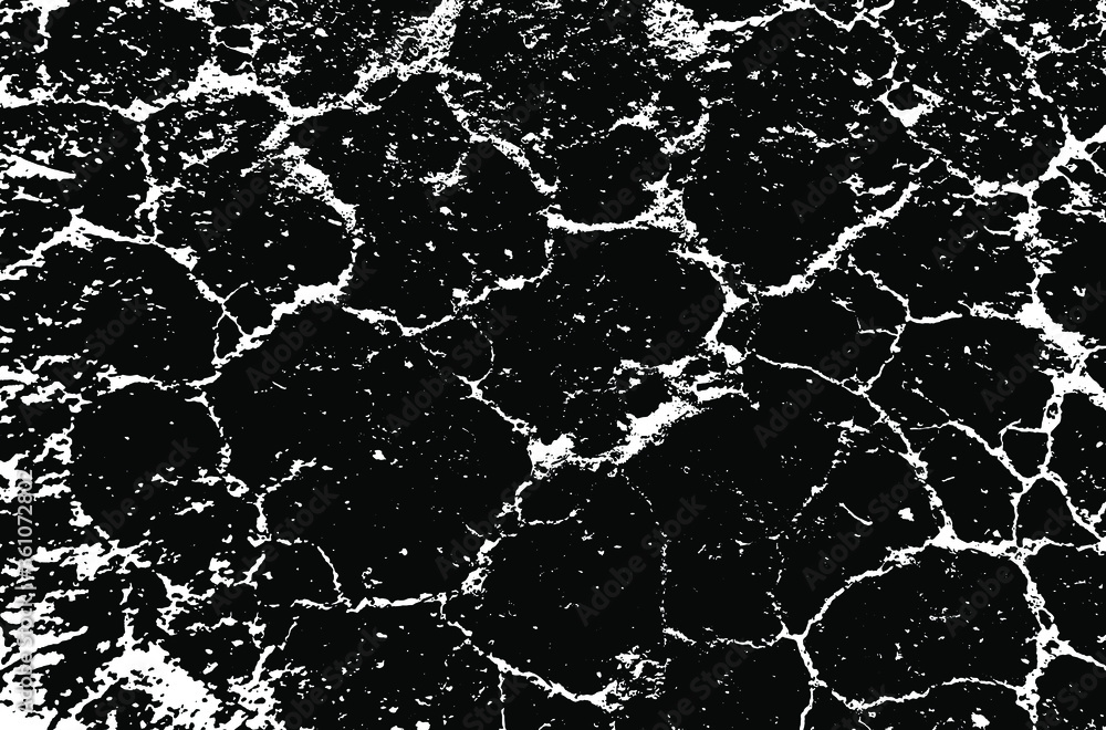 Fototapeta premium Dry soil texture. Cracks background. Grunge texture. Grunge black and white vector overlay. Grungy grainy surface.