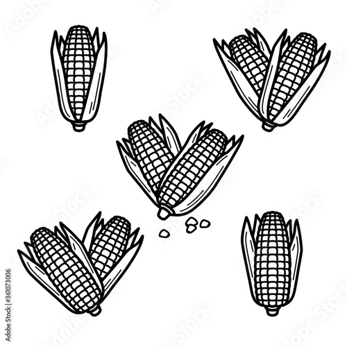 Corn set. Collection icon corn. Vector
