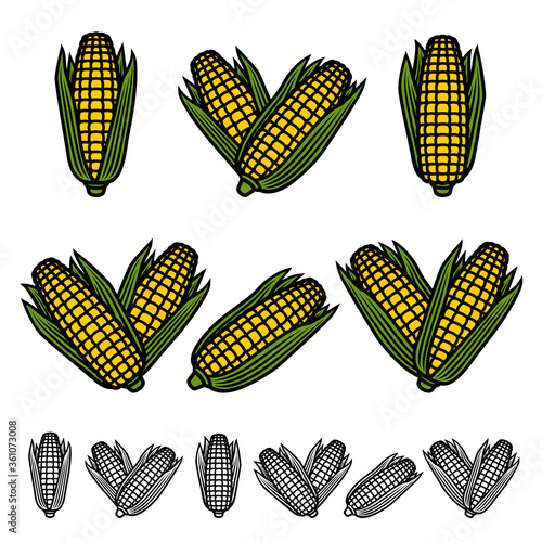 Corn set. Collection icon corn. Vector