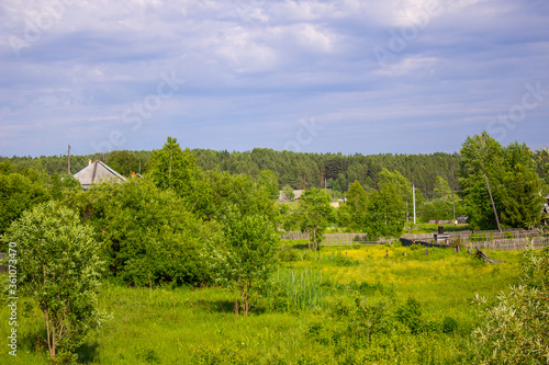 Beautiful landscape of the village with trees and houses.