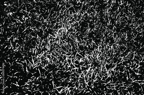 Grass texture. Nature background.Grunge texture. Grunge black and white vector overlay. Grungy grainy surface.