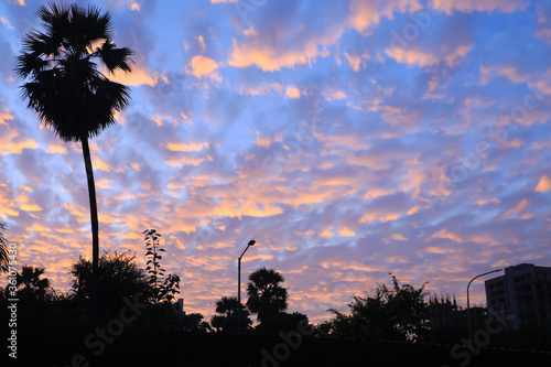 blue sky & golden yellow cloudy sky