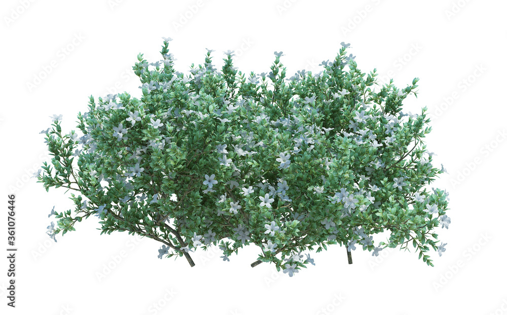Obraz premium 3d Render Brush Tree Isolated on white
