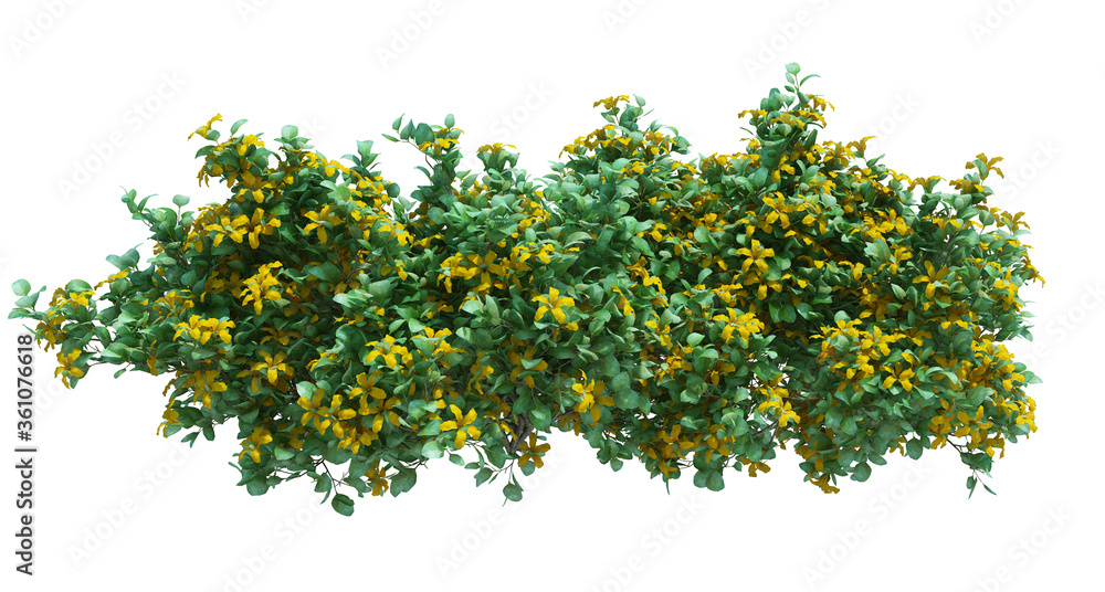 Obraz premium 3d Render Brush Tree Isolated on white