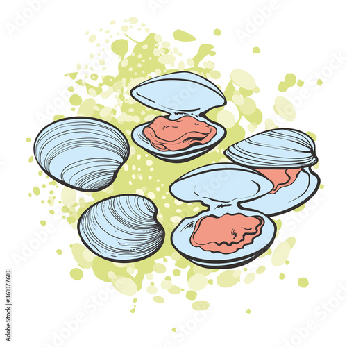 Vector illustration set of open and close mussels ready to eat in sketch style.