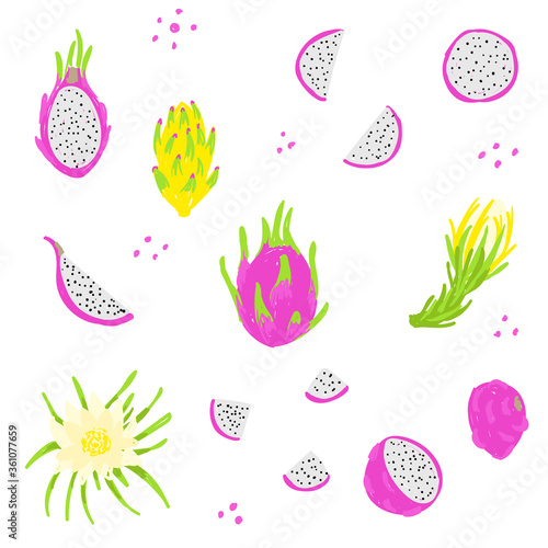 Pitaya hand drawn vector illustration. Dragon fruit set. Whole, sliced, cut pitahaya fruit, leaves, flowers. Design template