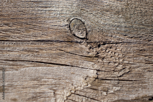 old wood texture