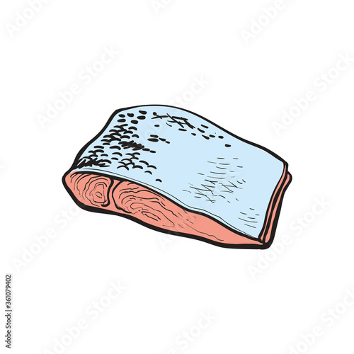 Vector illustration of red fish fillet in sketch style.